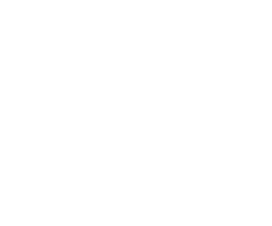 icones-reveal-source-PIT
