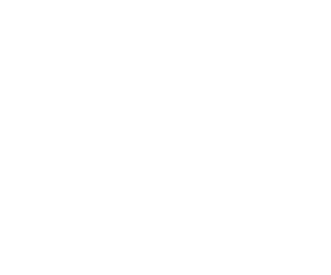 icones-reveal-source-STI